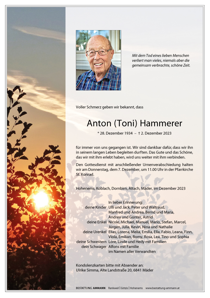 Anton Hammerer