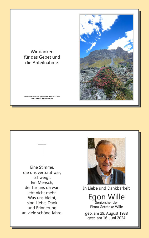 Egon Wille