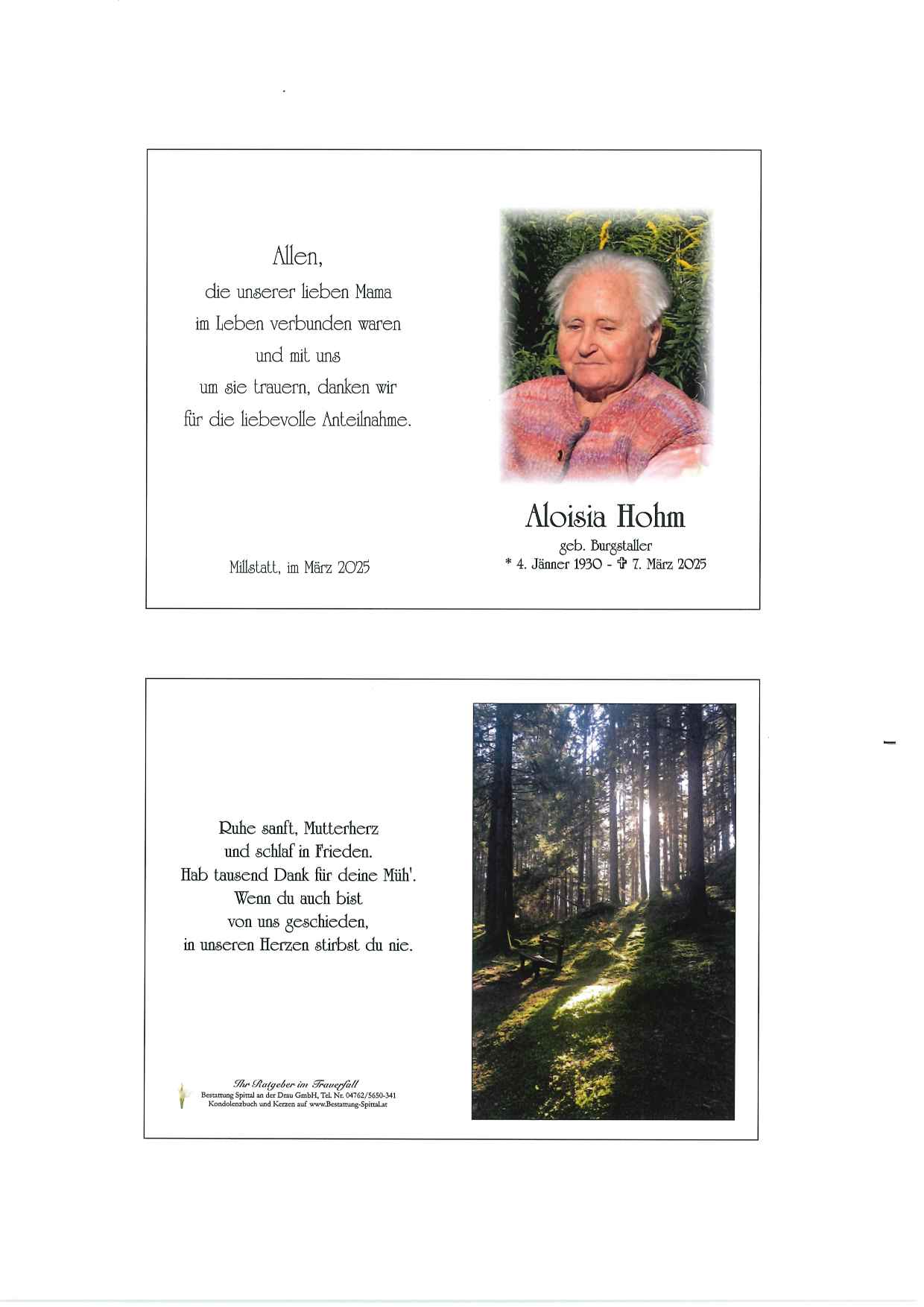 Aloisia  Hohm