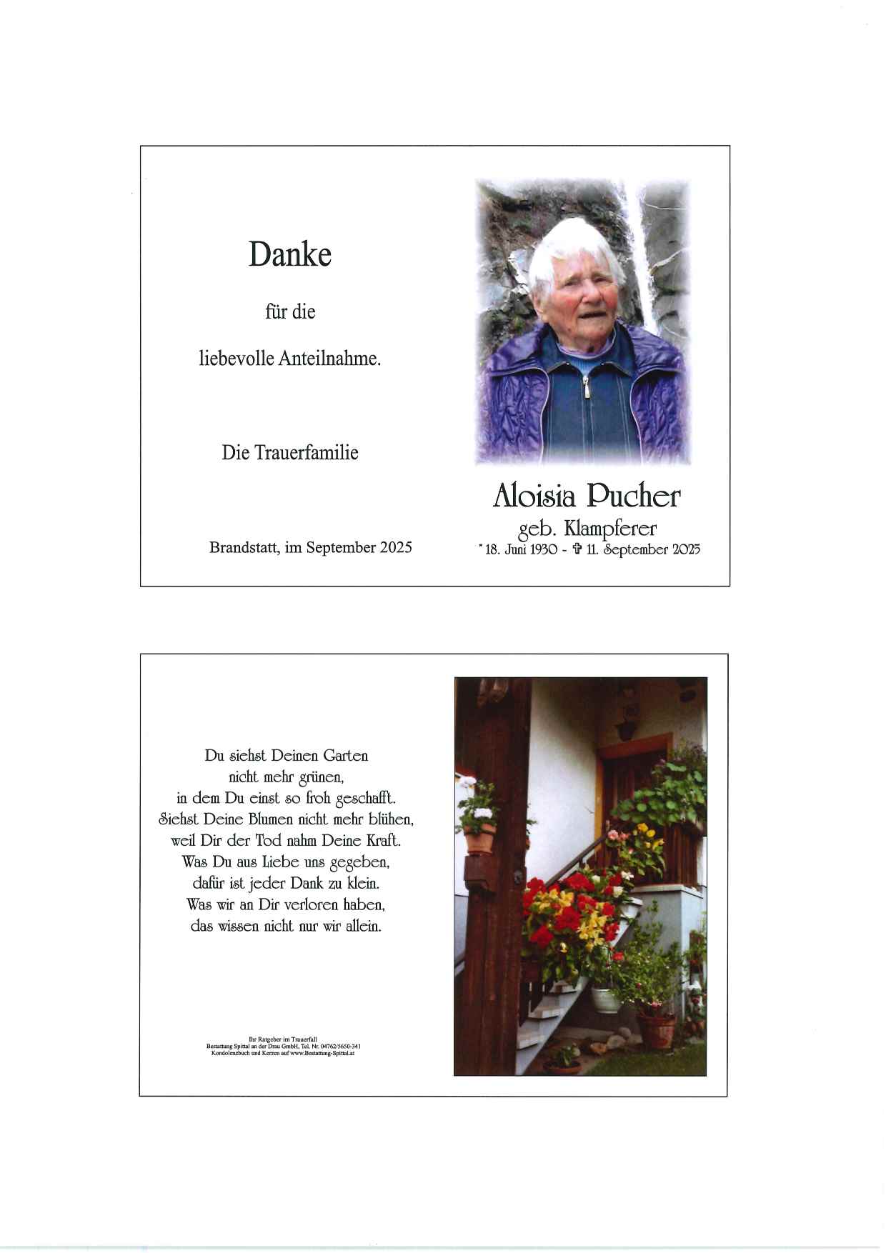 Aloisia  Pucher