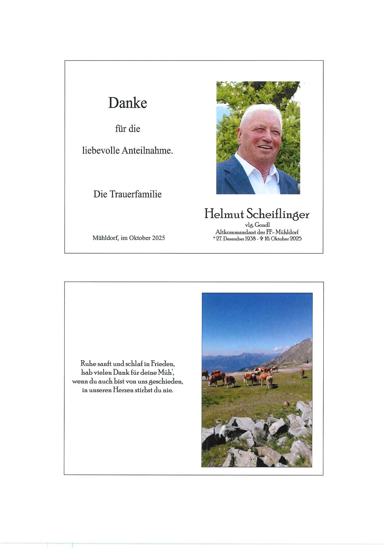 Helmut Scheiflinger