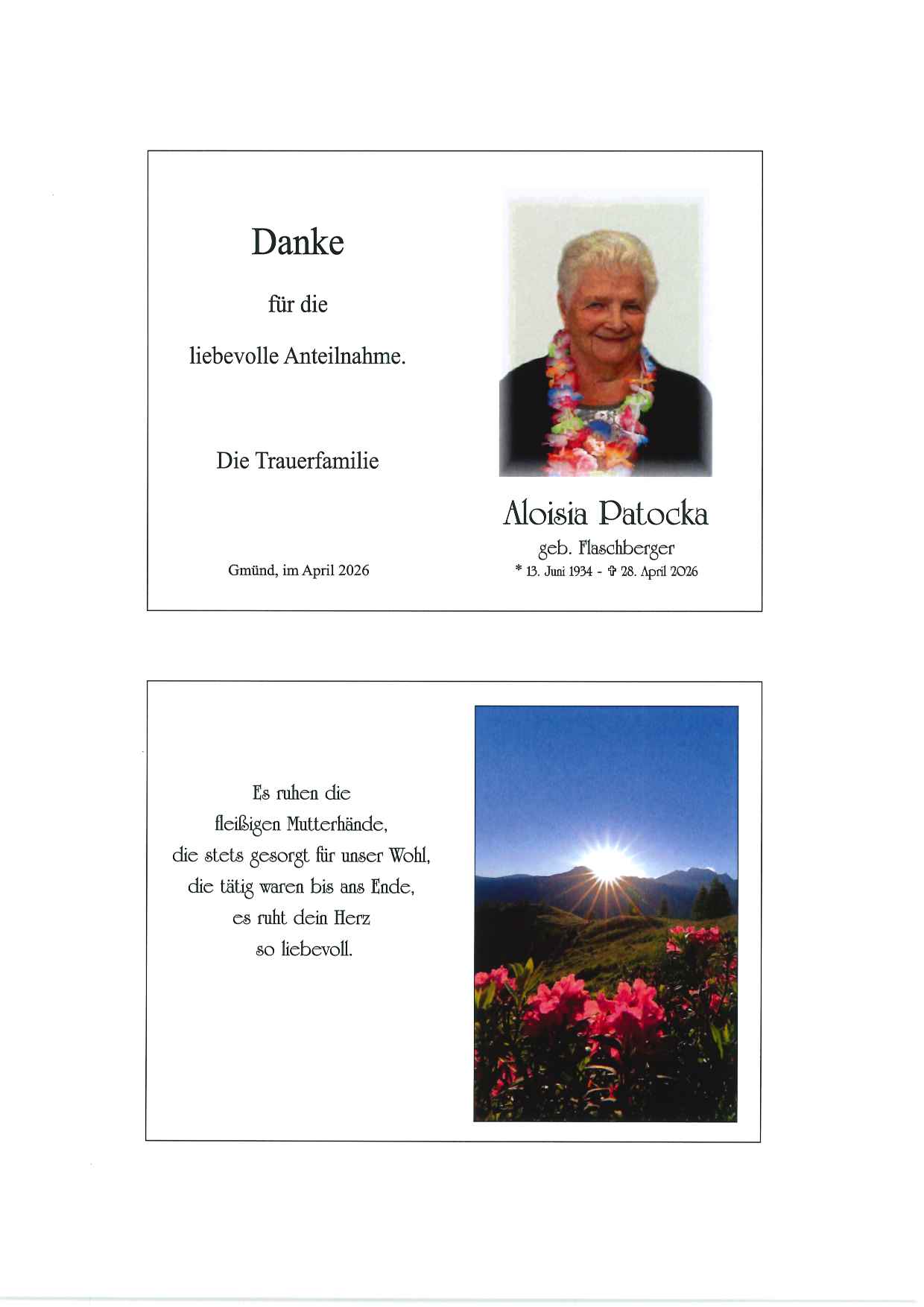 Aloisia  Patocka 