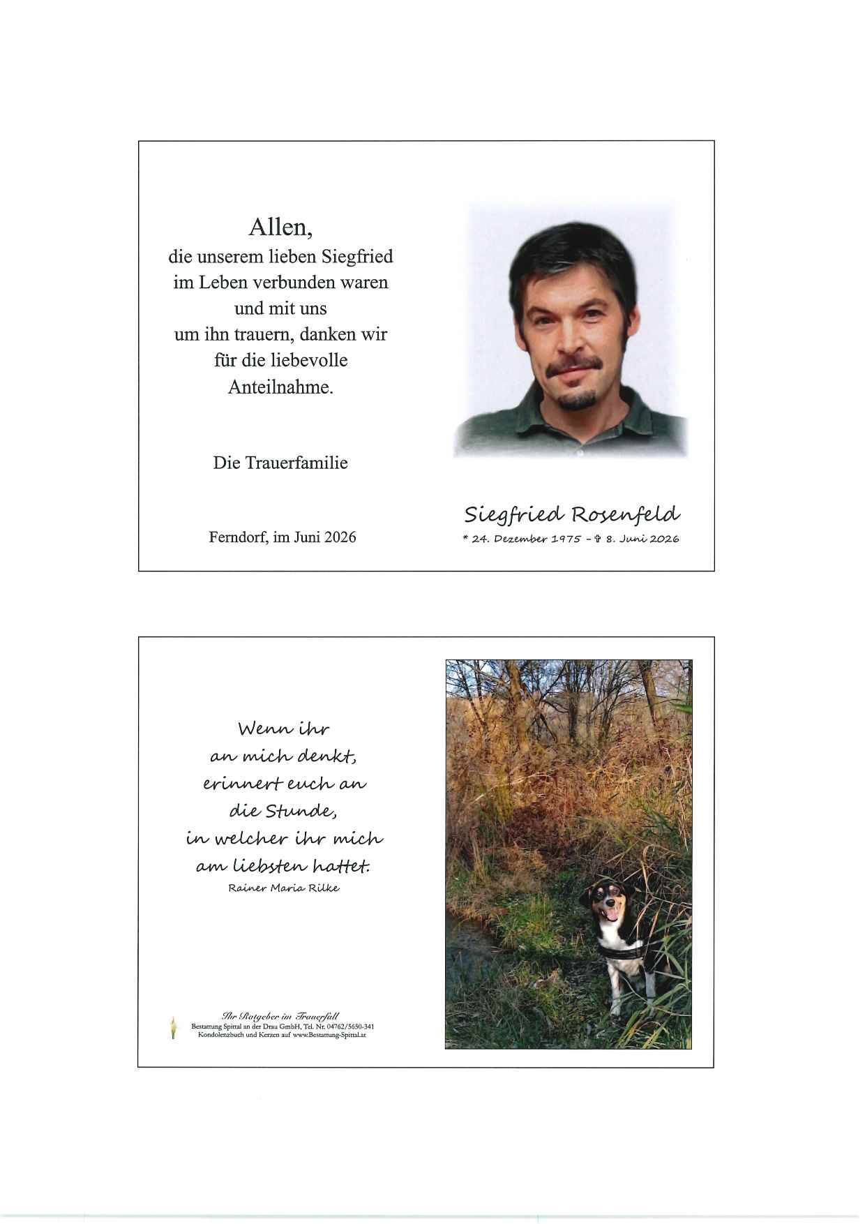 Siegfried Wolfgang  Rosenfeld 