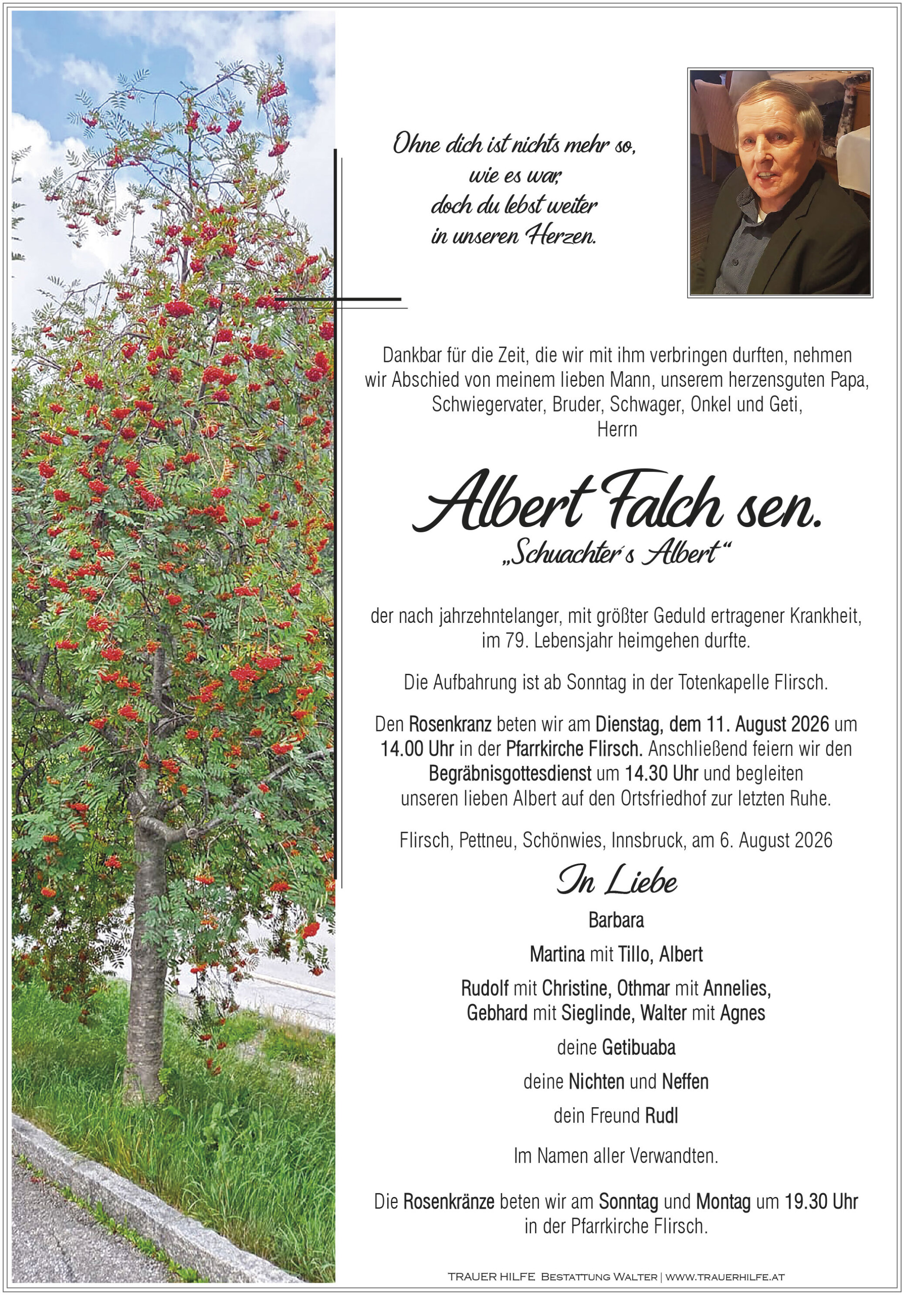 Albert sen Falch